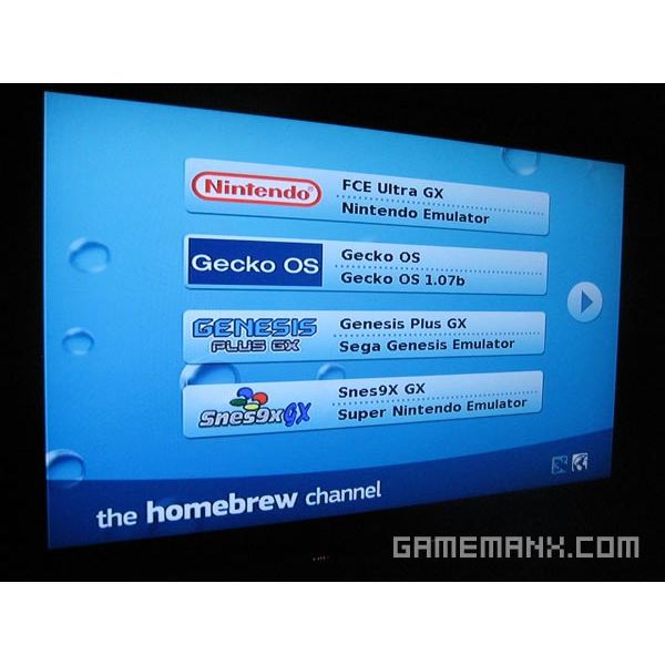 Wii homebrew sd card download